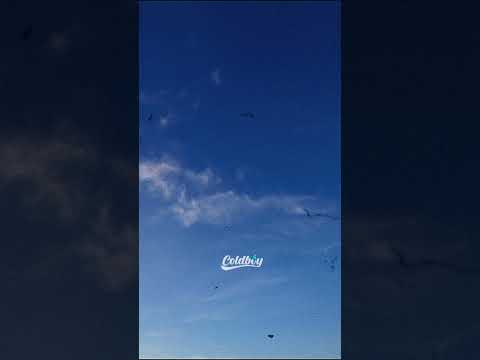 SYML - Where's My Love (Lyrics)