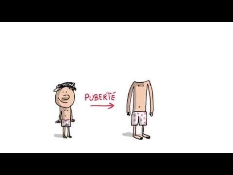 C'est quoi la puberté ? - 1 jour, 1 question