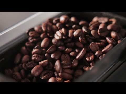 Ninja Luxe™ Café Pro Series | Getting Started