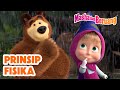 Masha Dan Beruang ‍ ️ Prinsip Fisika ‍ Koleksi Kartun Episode Terbaik