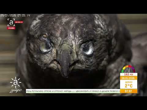 Šta privlači turiste u Teslić? Razgovaramo sa Danijelom Petrovićem, direktorom TO grada Teslić