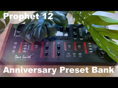 Prophet 12 Anniversary Custom Patch Bank