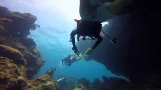Scuba Diving | Punta Cana | Colosseum Dive | Shot 100% on GoPro 4 |