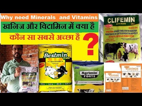 Veterinary mineral mixture clifemingold powder transport cha...