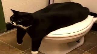 Download lagu Bababouey mp3