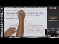 12. Sınıf  Biyoloji Dersi  Solunum BİYOLOJİ 12. SINIF / TYT - AYT ( YKS ) Kanalımıza abone olmak için tıklayın https://goo.gl/JpWdhc TYT BİYOLOJİ Oynatma listesi ... konu anlatım videosunu izle