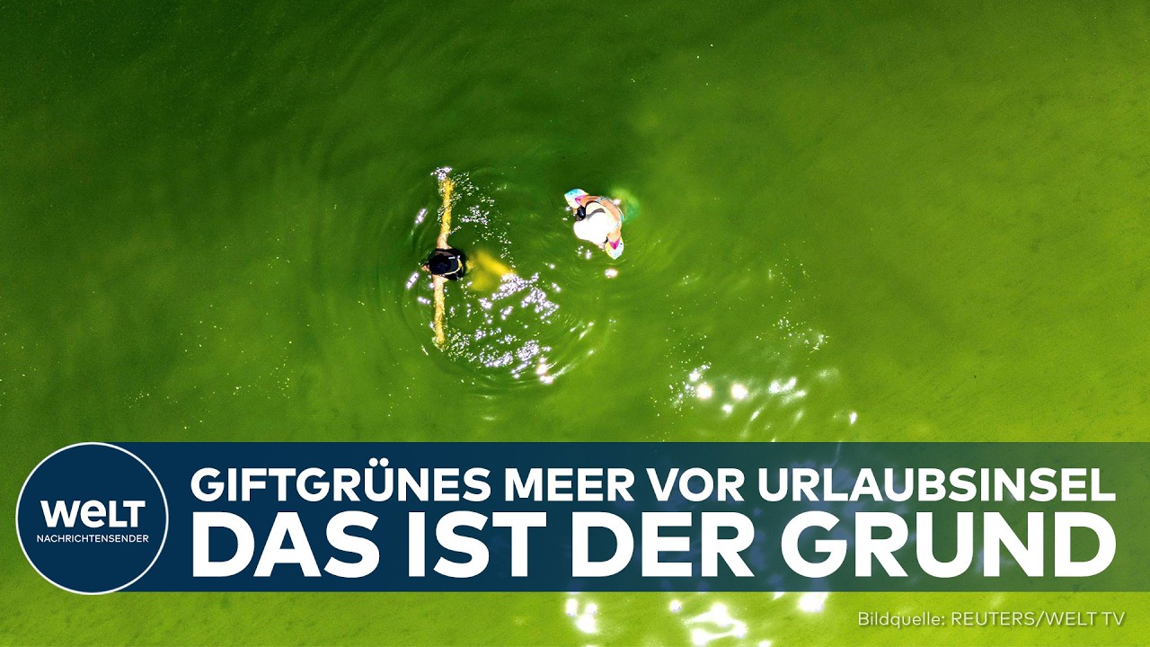 THAILAND: Giftgrünes Meer vor Urlaubsinsel – Forscher sind sicher: Das ist der Grund!