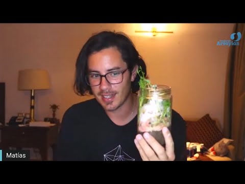 Day 280 WELLNESS - Matais De Stefano - English Edit