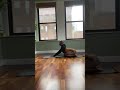 Stevana Super Flexibility Training