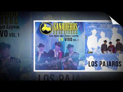 los pajaros ganaderos de la sierra en vivo AL MERO MILLON  2017
