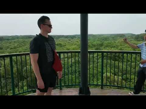 CAN GIO MANGROVE FOREST