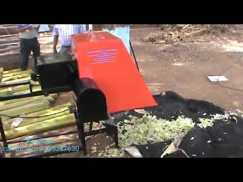 Banana Tree Shredder & Sugar Cane Shredder