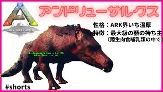 『1分ARK』アンドリューサルクス 性格は温厚、穏やか、のんびりな見た目はウルフ？ブタ？#Shorts 恐竜追加MOD/ARK