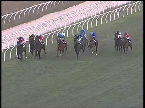 Galoppo 02/01/2015 - 4° corsa