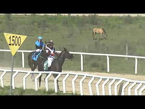 SINT FLORIDA 231005 c01 - 1° GATA CARMELA