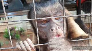 Could this be the end of the world 🙈🙉🙊