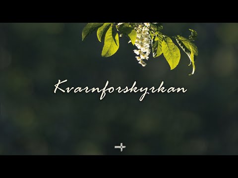 Ruben Johansson – Uppliva nådegåvorna