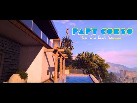 video image