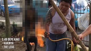 Marc Ching dog torture