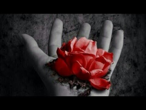 Reykl ft Cash - Гули сурх [2018]▶