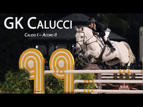 GK Calucci (Calido - Accord II) - Grand Prix Show Jumper Stallion