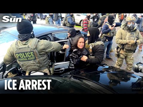 Horrifying moment ICE agents forcibly remove woman from car as she 'blocked' the road in Minnesota
