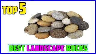 TOP 5 Best Landscape Rocks 2026 | That Look Like Designer Gardens!