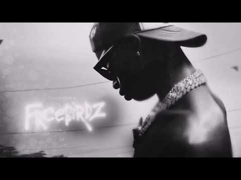 Lil Double 0 "Gold Stacks / Maybach Truck" [Visualizer]