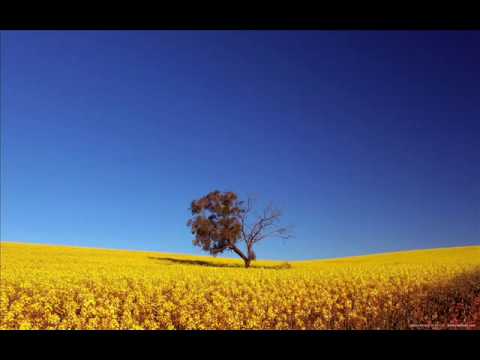 Paul keeley - A Sort of Homecoming