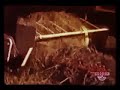 Noggin Commercials 05 14 2002