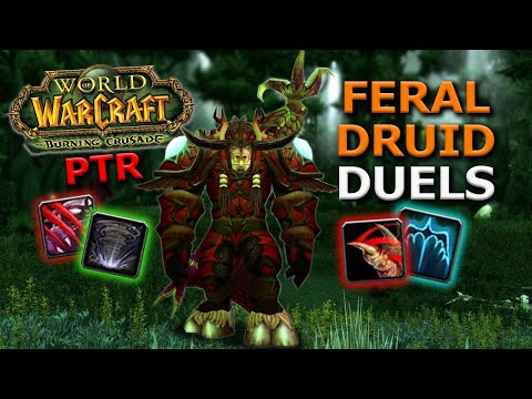 Burning Crusade HYPE! PTR DUELS | Feral Druid OWNS!