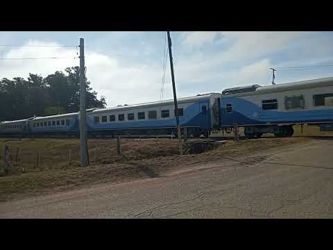 tren TA A923 saliendo de la Rubia santa fe