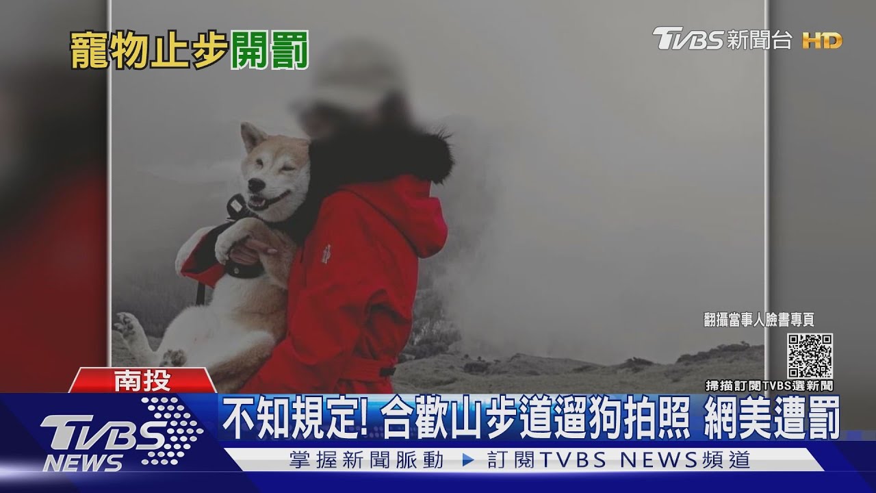 不知規定!合歡山步道遛狗拍照 網美遭罰
