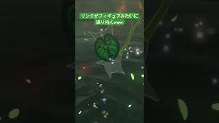 【 #ゼルダの伝説ブレスオブザワイルド 】どっちも自己主張激しいんよな