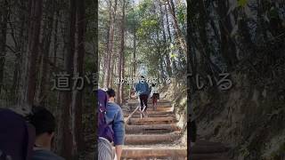 高尾山の稲荷山コース、12月に登ってみた #ハイキング #登山 #低山登山 #高尾山