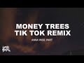 Money Trees - Tik Tok version (slowed/looped) Lyrics