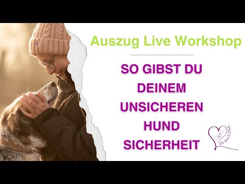 "SO gibst du deinem UNSICHEREN Hund SICHERHEIT" - Workshop-Auszug