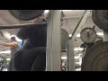 25 Reps Bodyweight Squat @195lbs