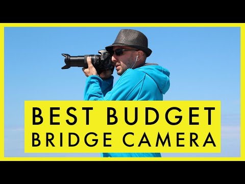 Best Budget Bridge Camera in 2021