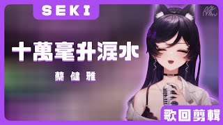 【汐Seki】十萬毫升淚水 / 蔡健雅【中文字幕】