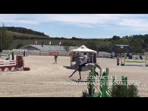 FOR SALE 2011 mare by Cancara - Cathago AMATEUR JUMPER