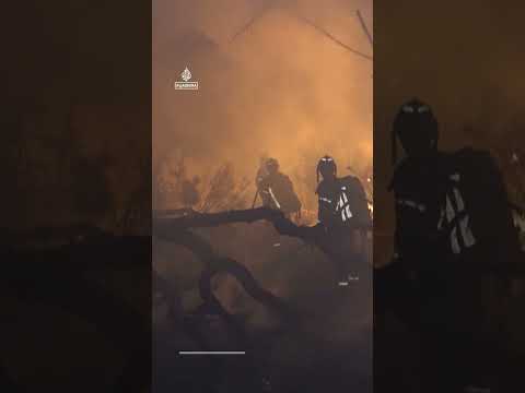 Firefighters race to contain flames in northeastern Spain