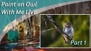 Paint an Owl w/ me  - Acrylics LIVE 🎨 Part 1 🎨 &amp; Art Chat