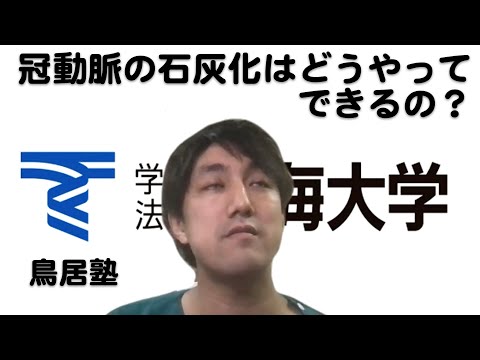 大動脈石灰化：その正体、症状、治療