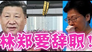 林鄭月娥準備辭職！特朗普要求中共下台！香港實行普選！