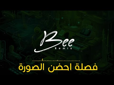 BEE REMIX | فصلة احضن الصورة