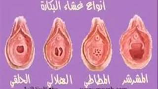 فلم فض غشاء البكاره سكس +18 - موسيقى مجانية mp3