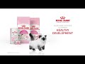 Royal Canin Kitten 10kg