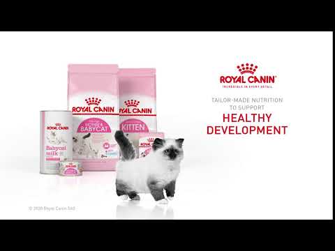 Royal Canin Kitten 400g video