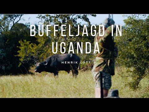 Henrik Lott auf Büffeljagd mit dem Bogen in Uganda – Ein Abenteuer der besonderen Art